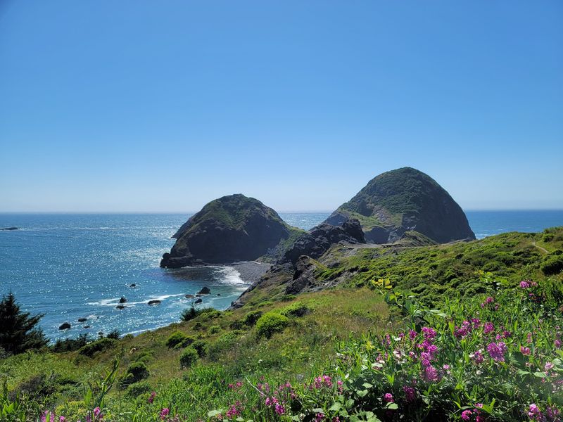 A Coastal Stop Just Off Highway 101