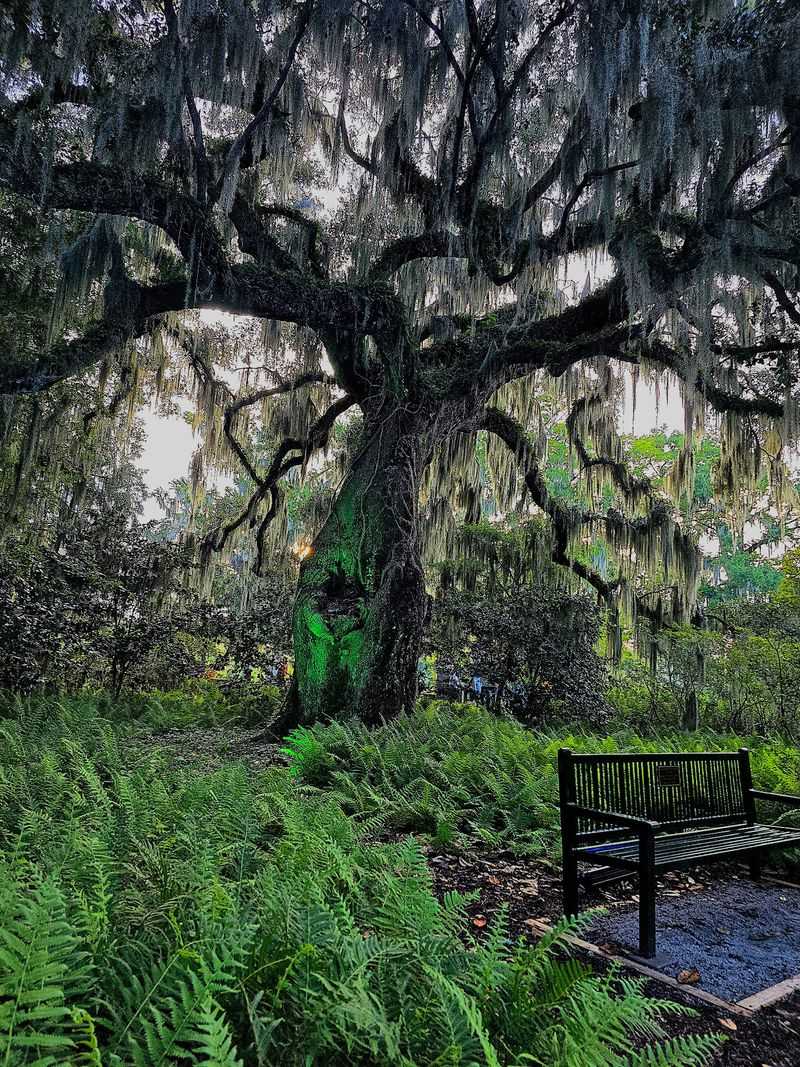 A Coastal Treasure Near Murrells Inlet