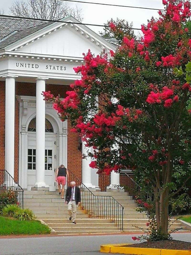 A Community Built Around Its Center