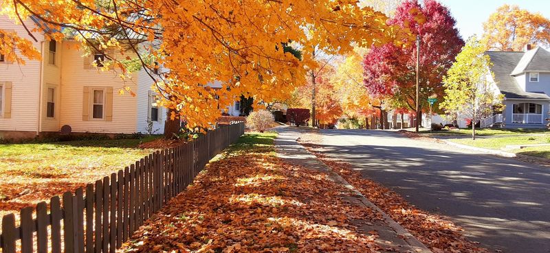 A Community That Knows Its Neighbors