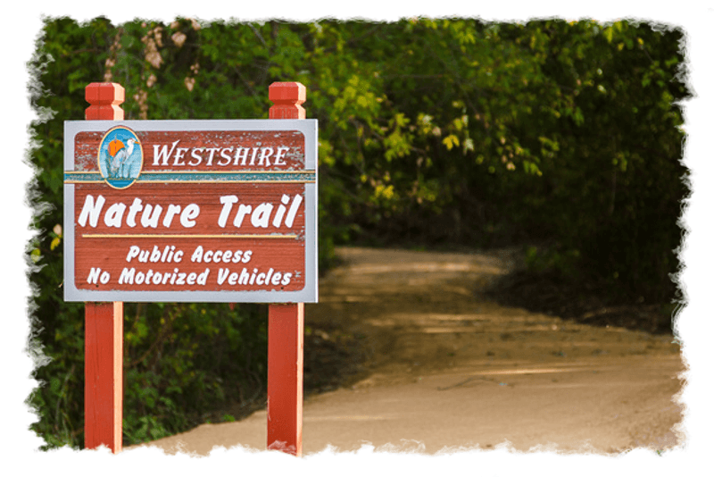 A Conservancy Right Next Door