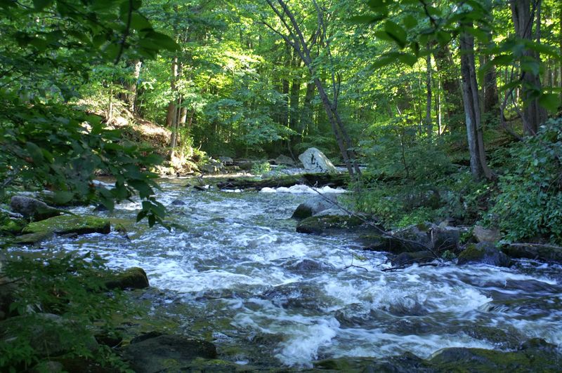 A Cool Escape When Summer Heats Up
