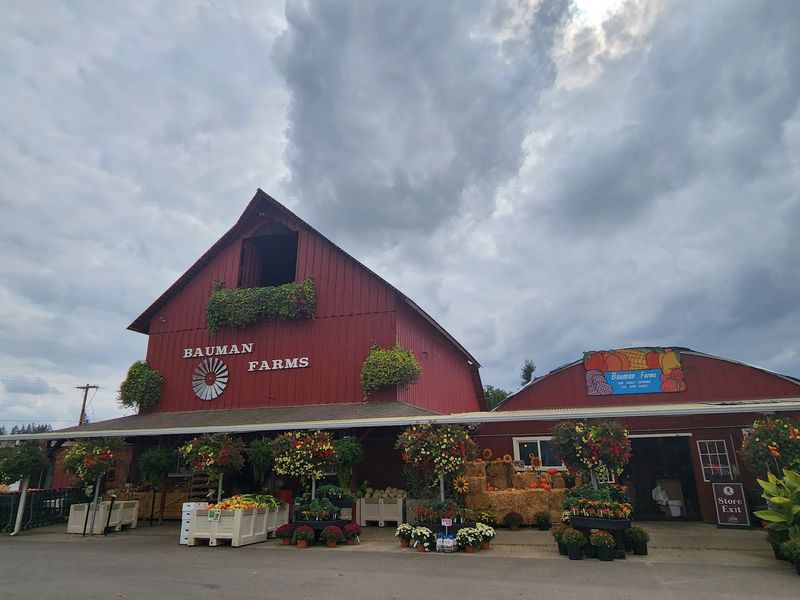 A Country Landmark On Howell Prairie Road