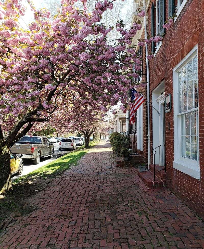 A County Seat With Deep Roots