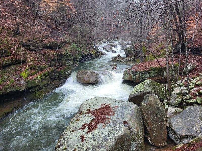 A Creek That Walks With You