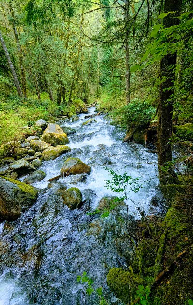 A Creekside Start That Eases You In