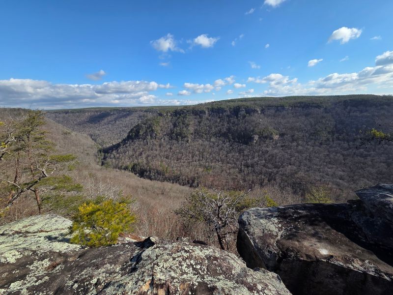A Cumberland Foothills Escape Near Dayton