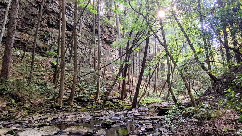 A Depression-Era Camp Hidden in the Woods