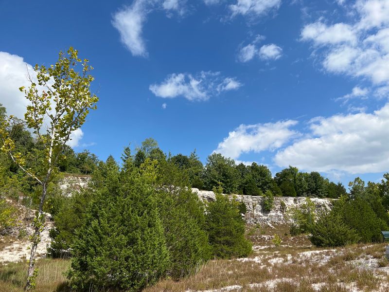 A Desert-Like Habitat In The Heart Of Missouri A Desert-Like Habitat In The Heart Of Missouri