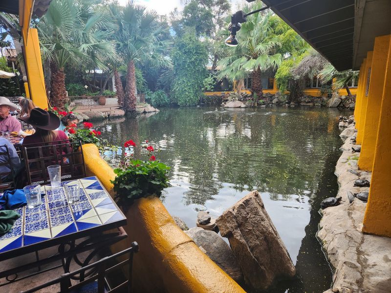 A Desert Oasis That Feels Nothing Like Arizona
