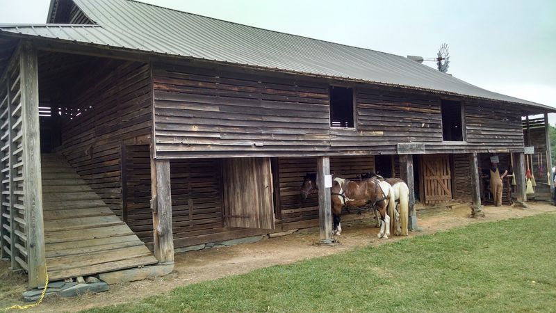 A Family And Pet Friendly Gathering