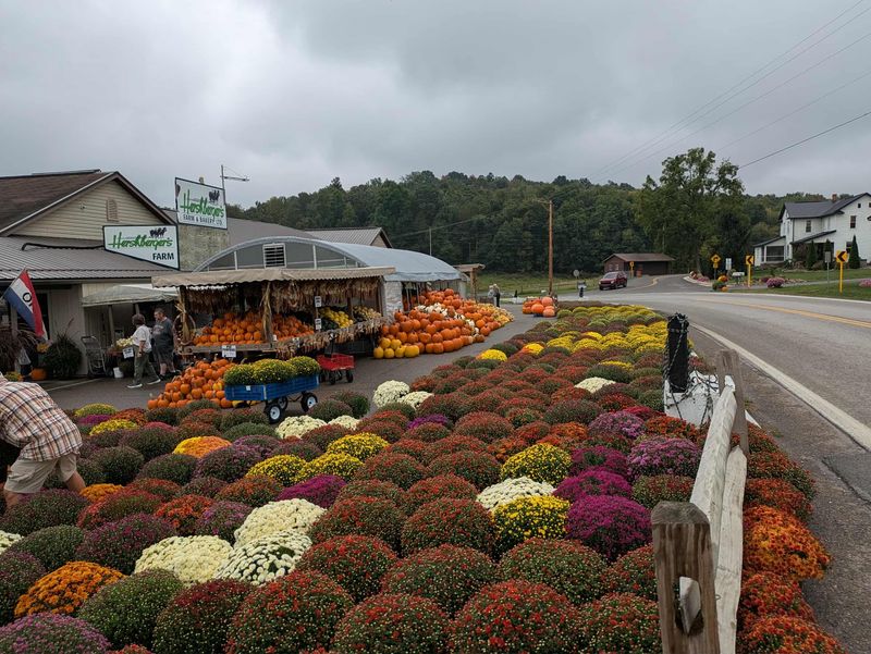 A Family Destination That Grows Better Every Year