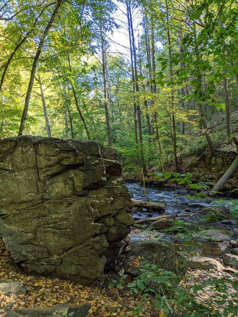 A Family-Friendly Escape for Kids and Dogs