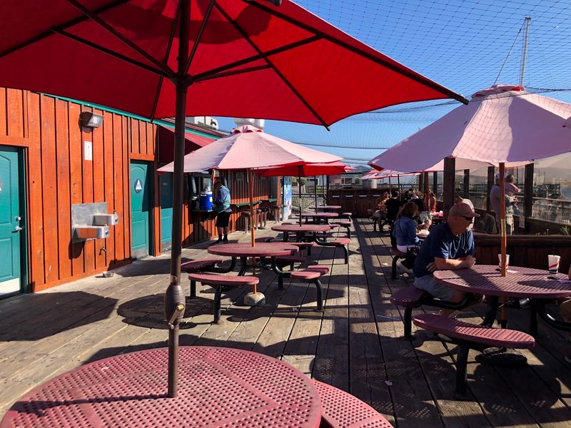 A Family-Friendly Patio With Feathered Guests