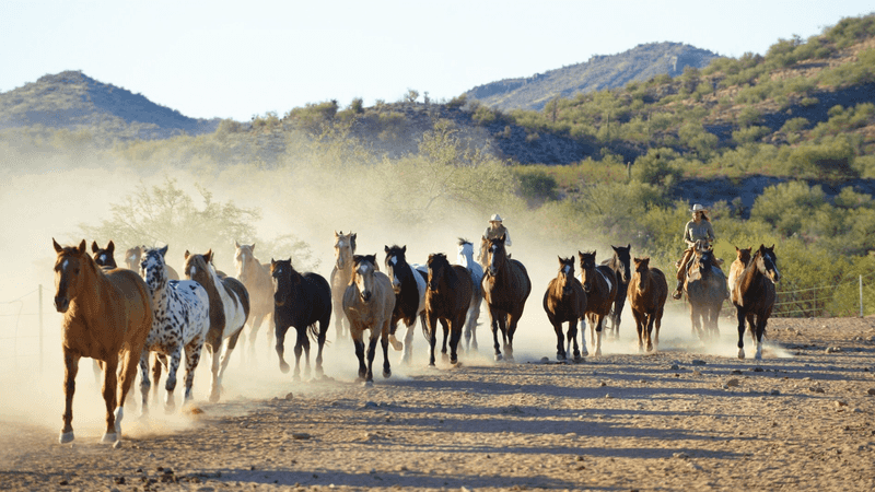A Family Legacy Rooted in the Old West