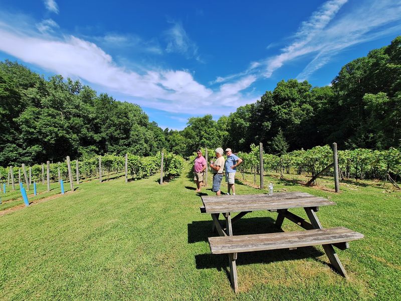 A Family Story Rooted In The Vines
