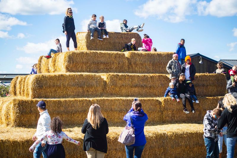 A Farm Rooted In Decades Of Memories