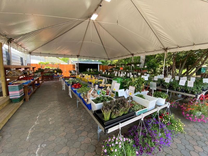 A Farm Stand Beyond The Bakery A Farm Stand Beyond The Bakery