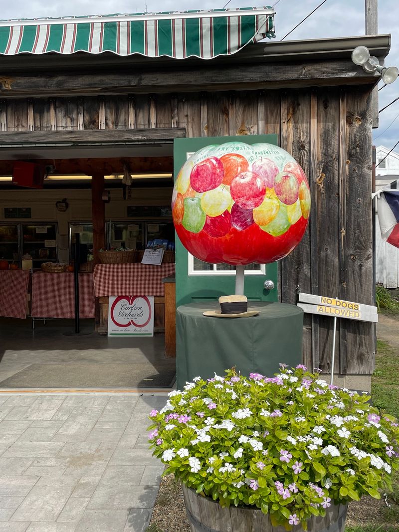 A Farm Store Packed With Local Goods