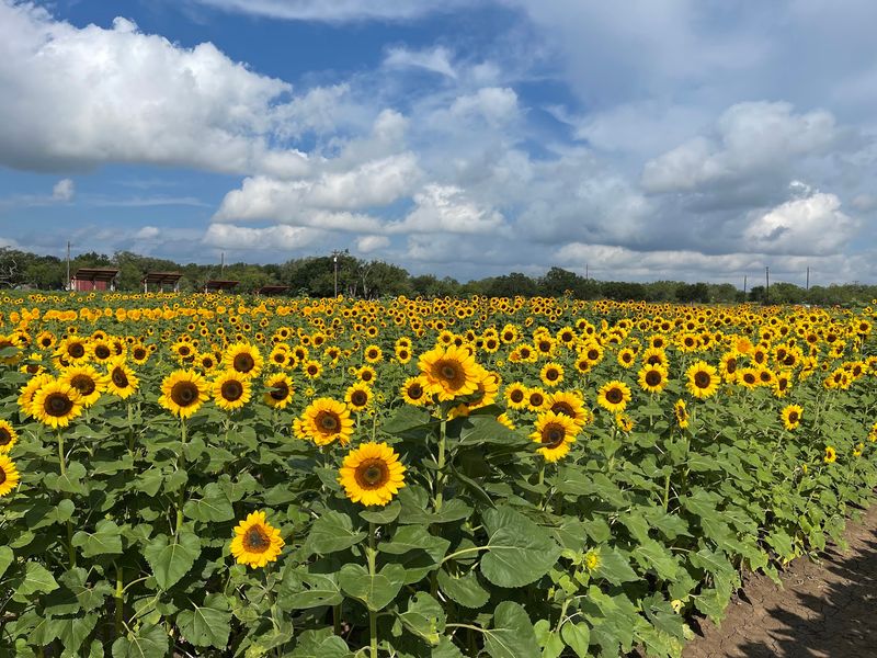 A Farm That Changes With Every Season A Farm That Changes With Every Season