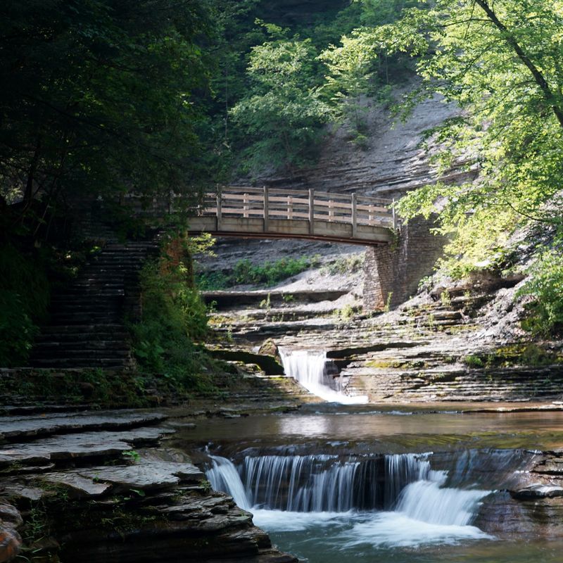 A Favorite For Photographers