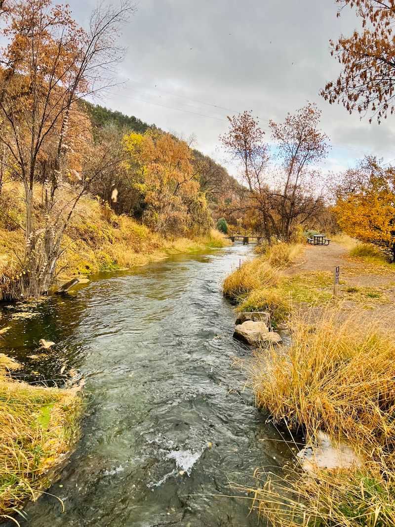 A Fish Hatchery Just Up The Road A Fish Hatchery Just Up The Road