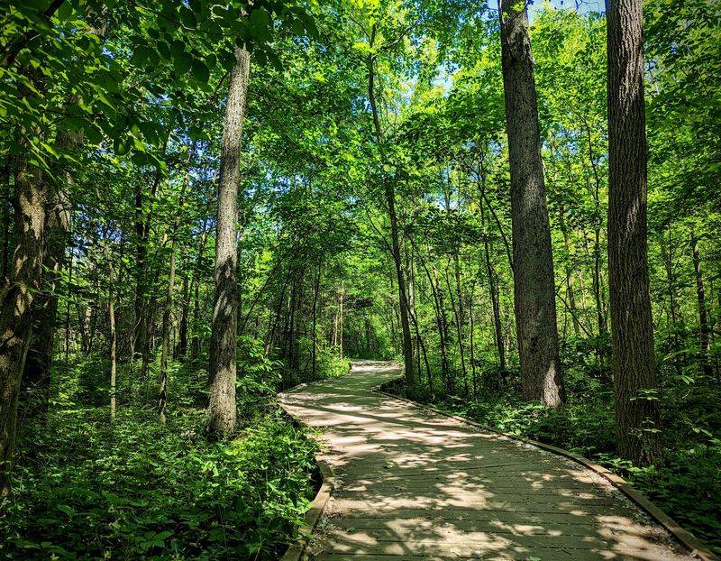 A Free Escape Right in the Heart of Fishers