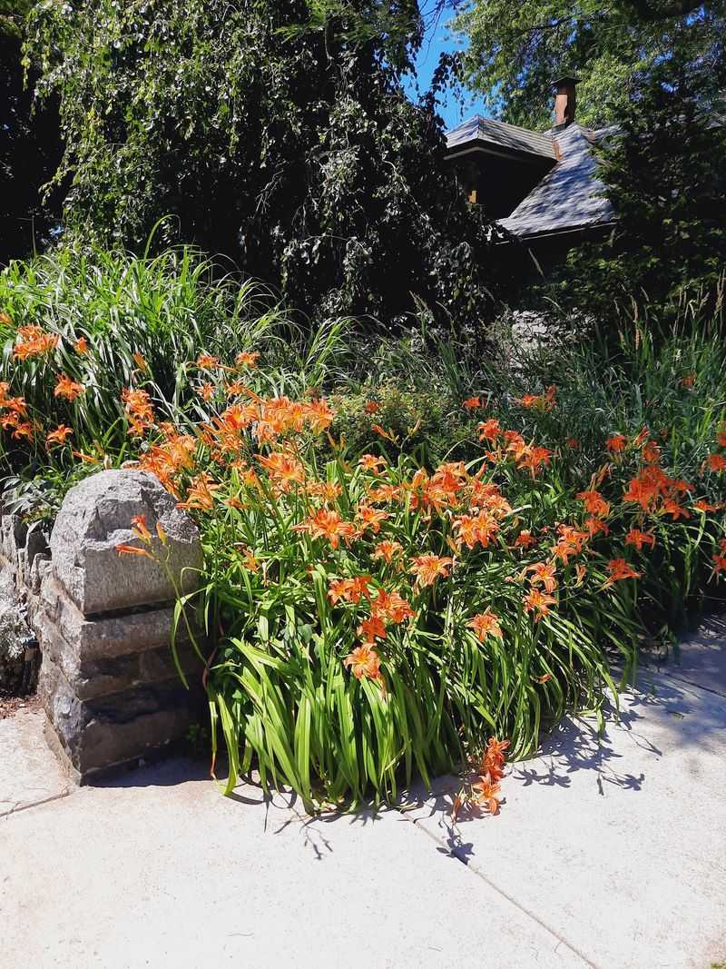A Garden Made For Slowing Down