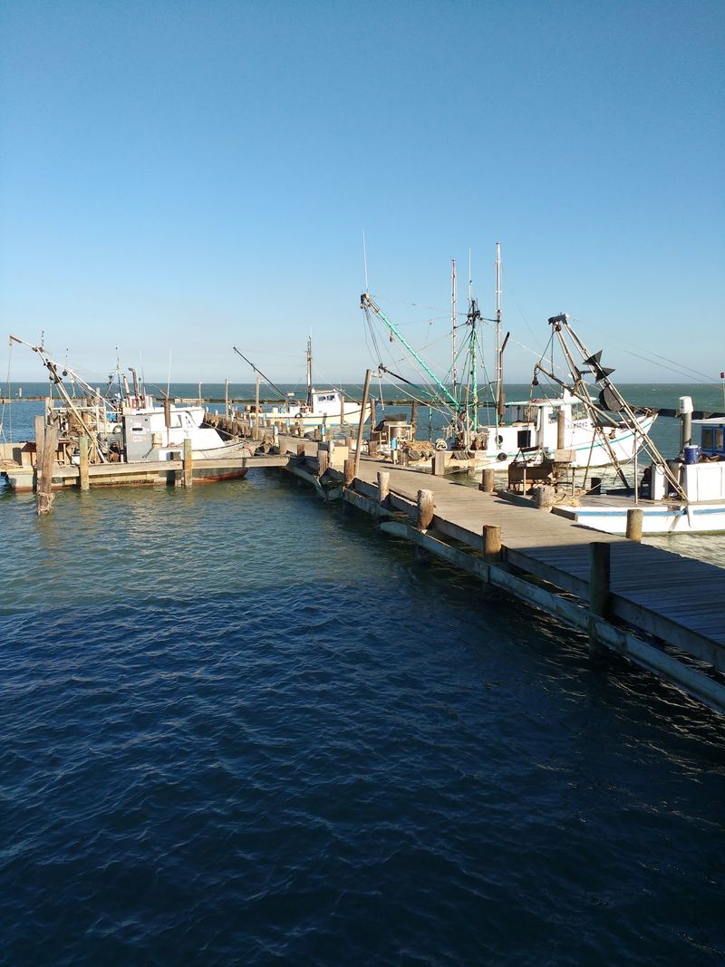 A Genuine Fishing Community