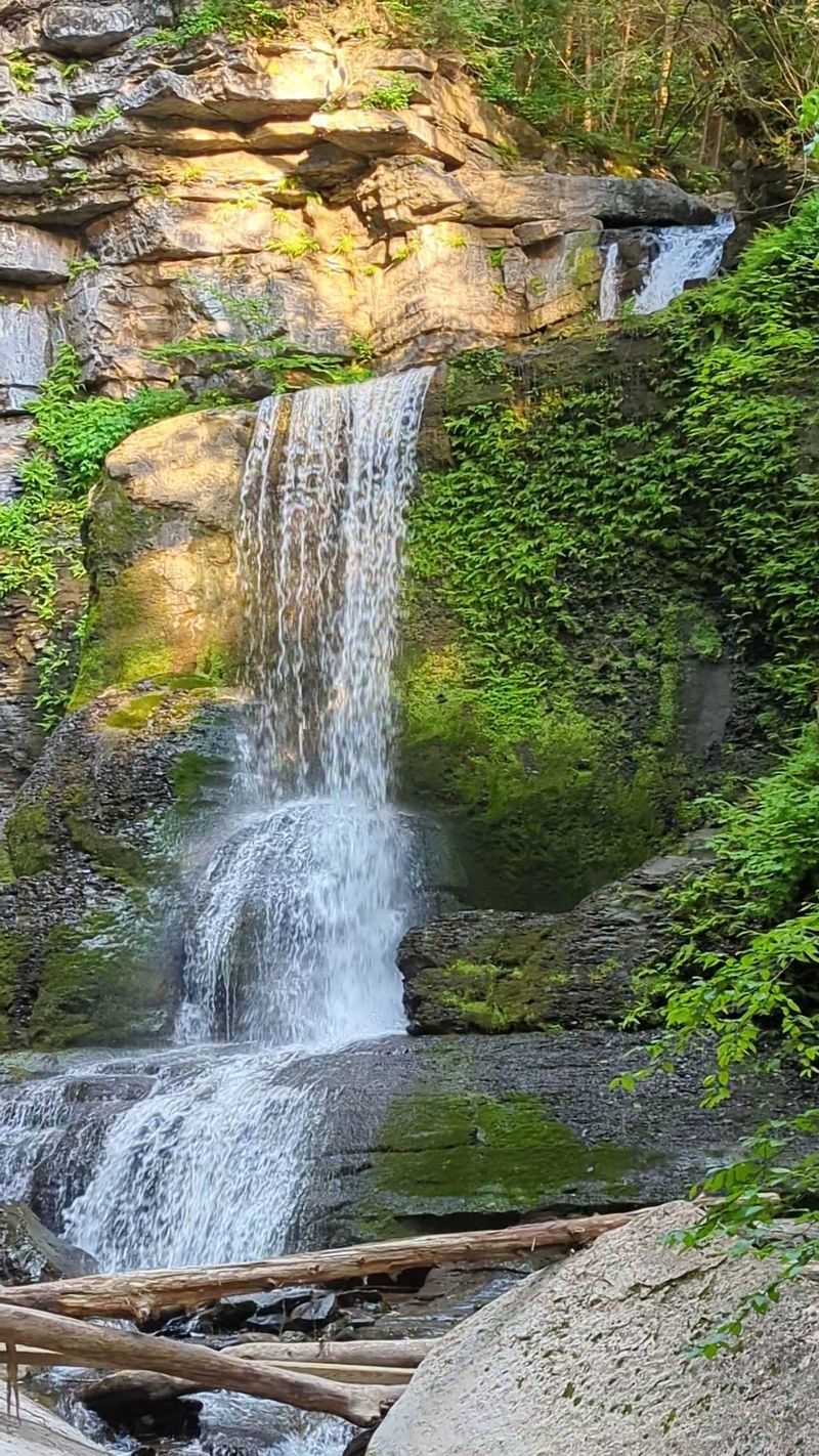 A Gorge Park Hiding in Moravia
