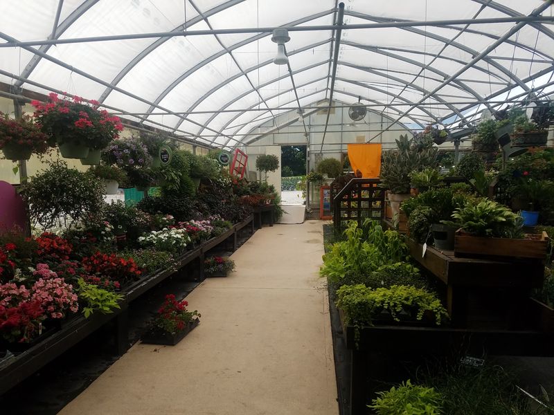 A Greenhouse Packed With Rare Finds