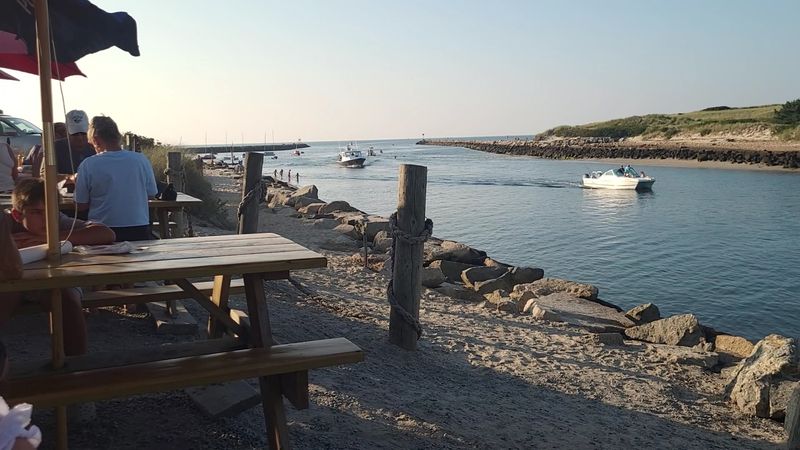 A Harbor Shack With a Fierce Following