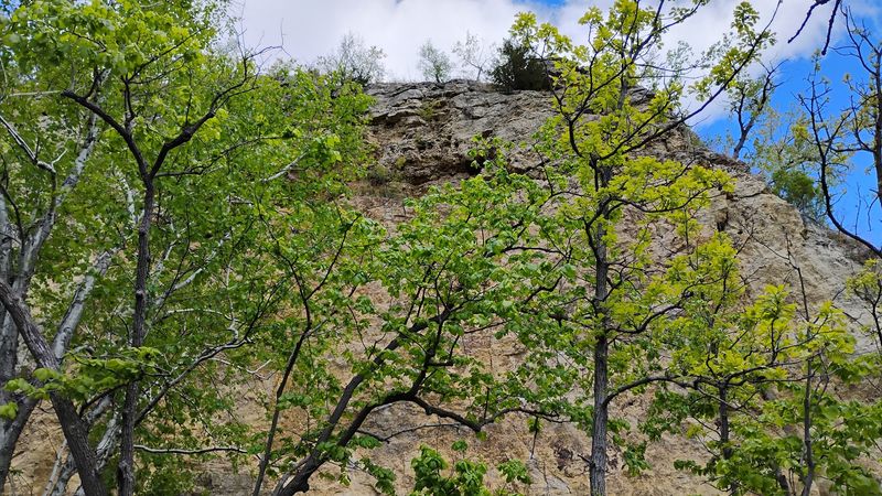 A Hike The Whole Family Can Handle