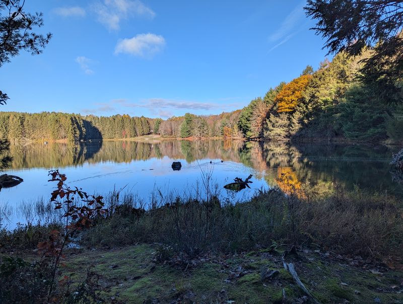 A Lake Built For Slow Mornings