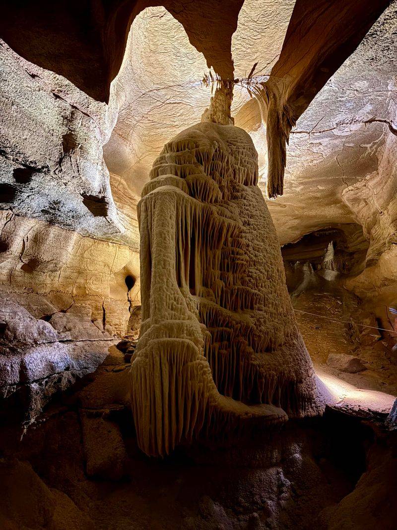 A Landmark With Deep Roots