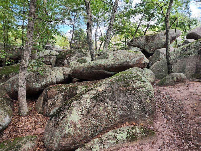 A Landscape Older Than You Can Count