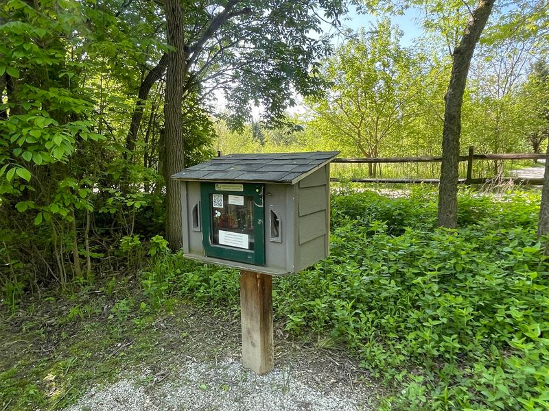 A Little Free Library Tucked Near the Trailhead