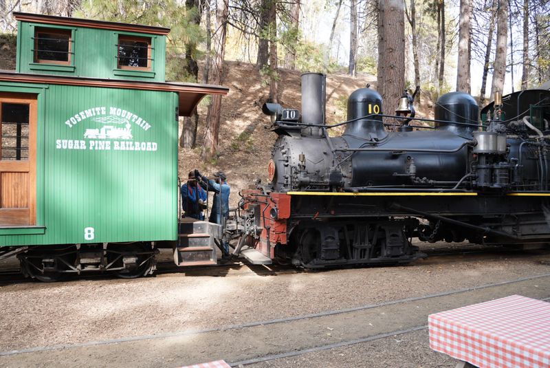 A Living Piece of Logging History A Living Piece of Logging History