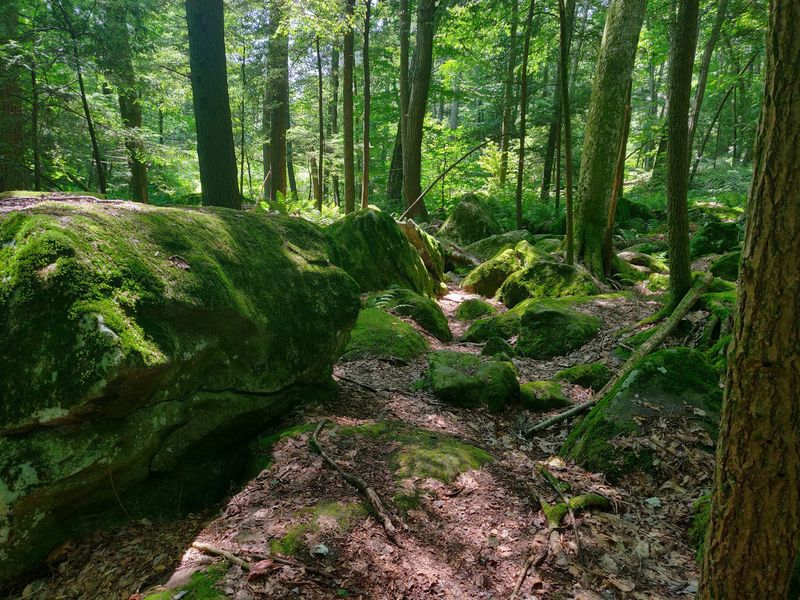 A Massive 759-Acre Preserve That Was Almost a Golf Course