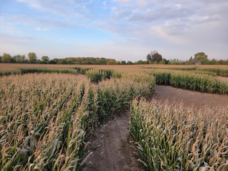 A Maze With A Yearly Theme