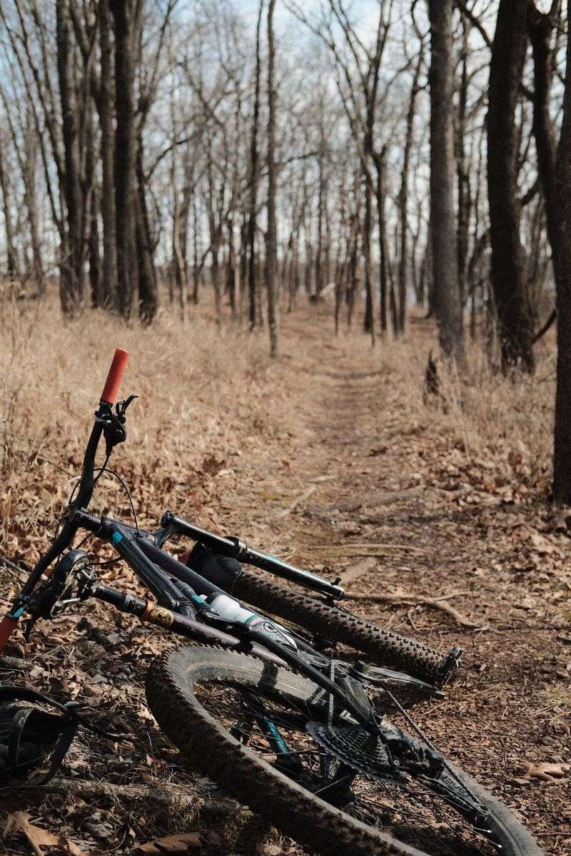 A Mountain Bike Loop For Beginners A Mountain Bike Loop For Beginners