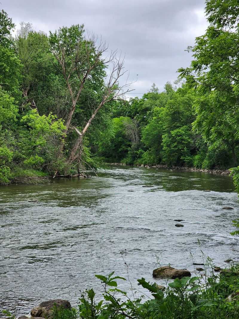 A Name Born From The River