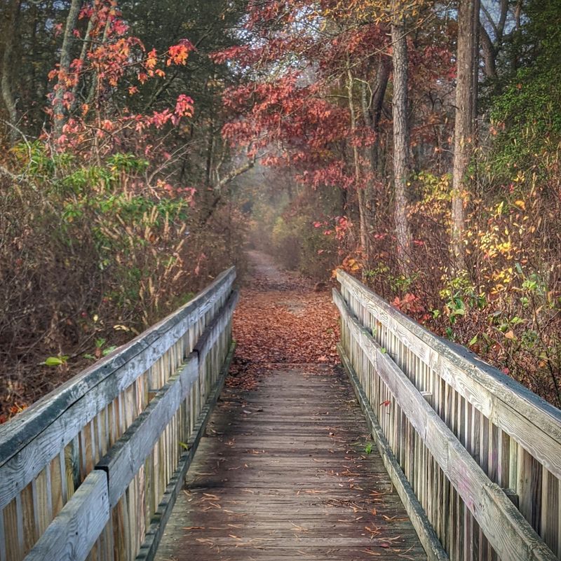 A Nature Center and Ranger Programs for Curious Minds