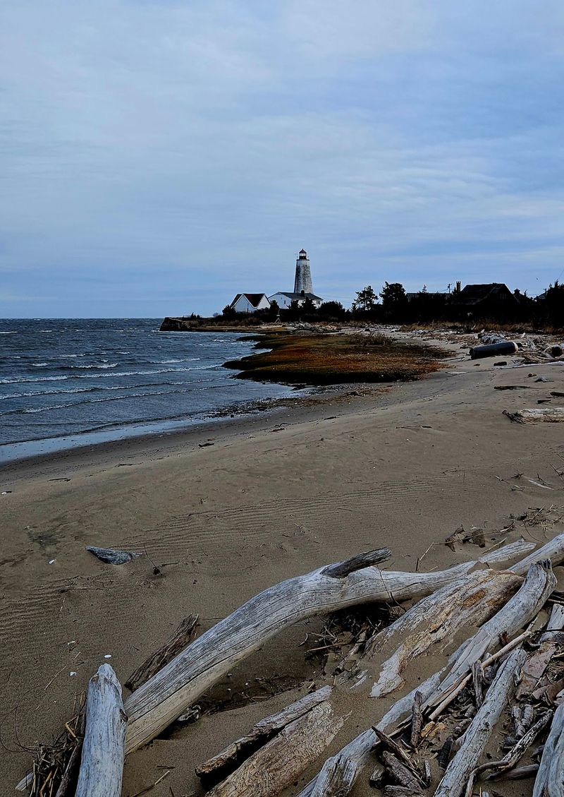 A Neighborhood That Guards Its Shore