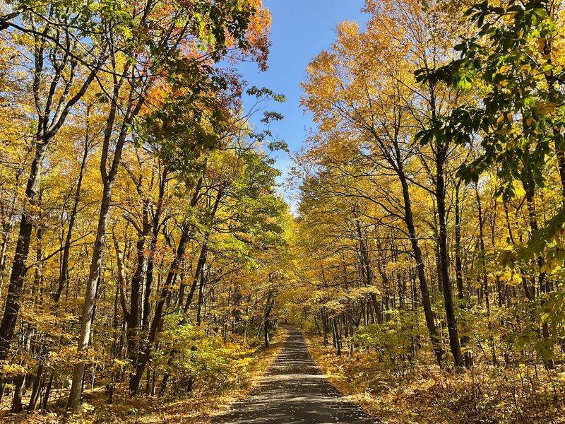 A Network Of Trails For Every Ability