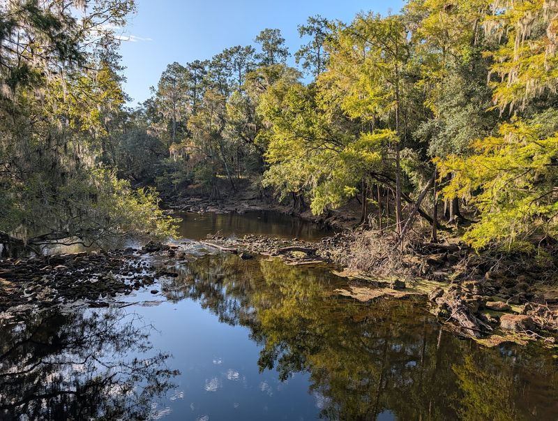 A North Florida Park Built Along the Santa Fe River
