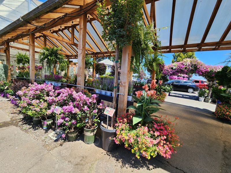 A Nursery And Garden Center Worth The Trip