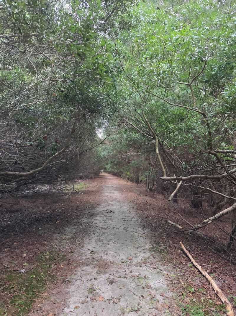 A One-Mile Loop That Packs in a Lot