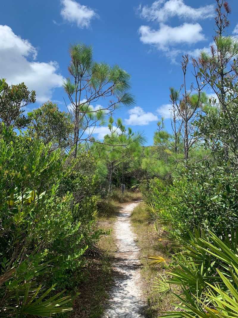 A One-Mile Trail Through A Wild Little Jungle A One-Mile Trail Through A Wild Little Jungle