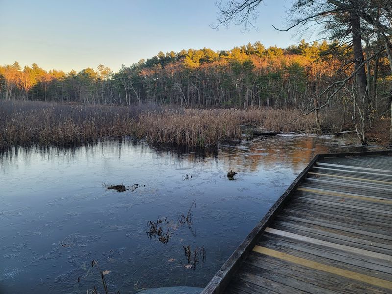 A Paradise For Bird Watchers A Paradise For Bird Watchers